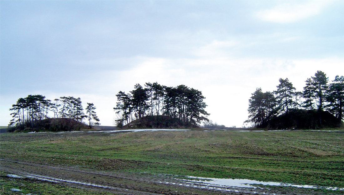 10 Three Sarmatian burial mounds at Vaskt Hungary reflecting the colonisation - photo 11