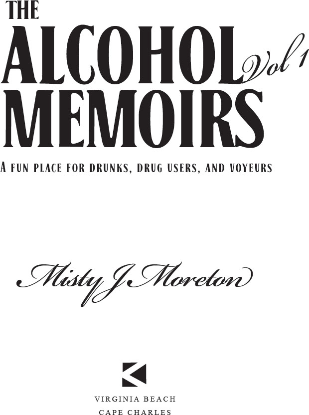 The Alcohol Memoirs A Fun Place for Drunks Drug Users and Voyeurs by - photo 2