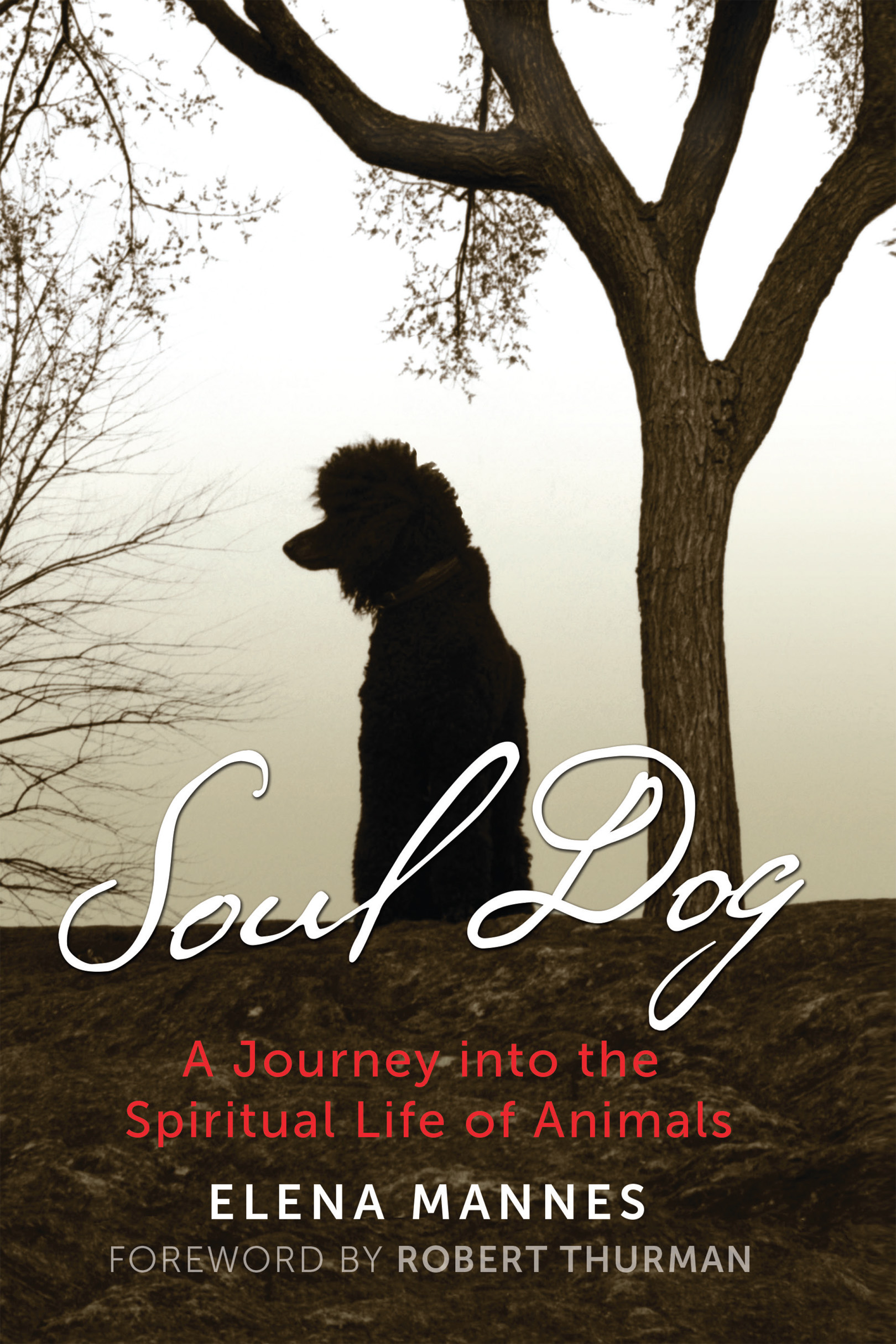 Soul Dog A Journey into the Spiritual Life of Animals - image 1