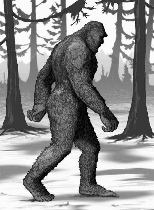 THE SASQUATCH SEEKERS FIELD MANUAL USING CITIZEN SCIENCE TO UNCOVER NORTH - photo 2