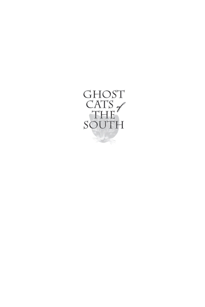 ALSO BY RANDY RUSSELL WITH JANET BARNETT Ghost Dogs of the South The - photo 1