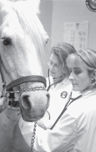 A Tufts University Cummings School of Veterinary Medicine student checks out a - photo 1