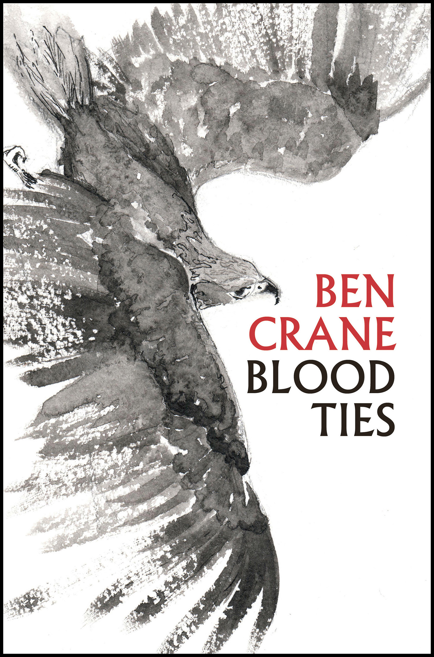 BLOOD TIES Ben Crane AN APOLLO BOOK wwwheadofzeuscom An uncannily - photo 1