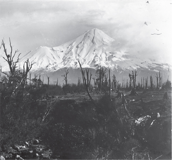 By fire and axe Malones Taranaki farm looked like this in the early 1880sa - photo 8