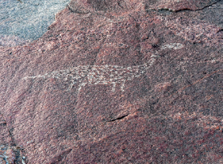 Neolithic petroglyph in granite dating from about 50006000 BCE showing a - photo 5