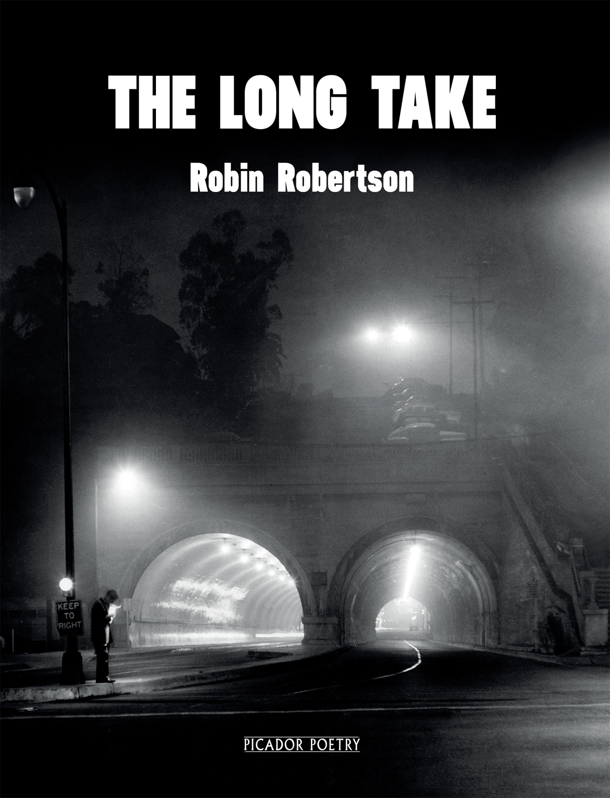 THE LONG TAKE or A Way to Lose More Slowly Robin Robertson PICADOR In - photo 1