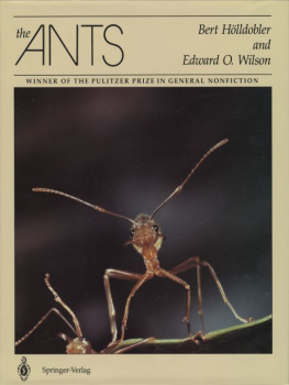 Bert Hölldobler The Ants