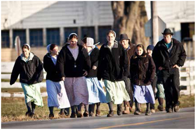 Amish children are almost never fat despite eating diets relatively high in - photo 1