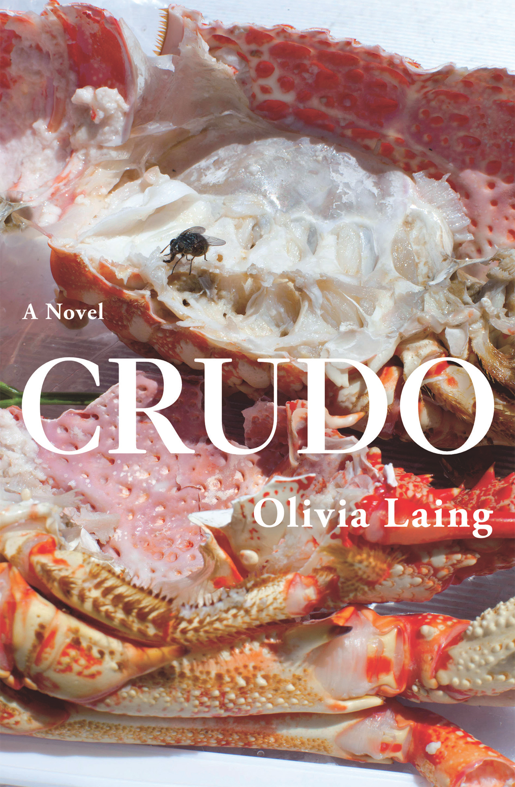 OLIVIA LAING Crudo PICADOR For Ian of course and for Kathy A complete list of - photo 1