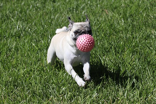 Encontr esta bola Saben de quin es Es tuya Found this ball Do you know - photo 4