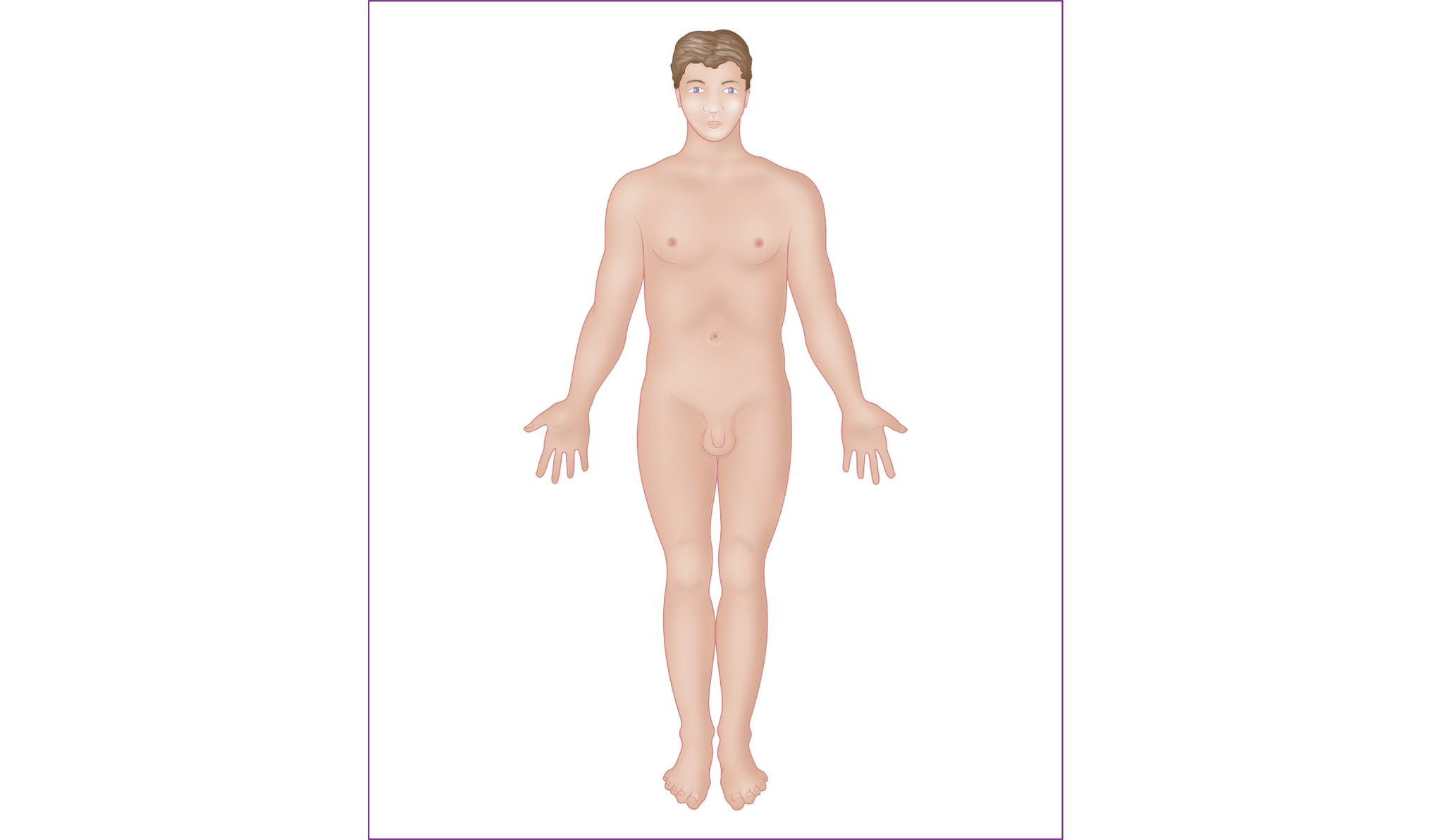 Figure 11 Anterior In front of toward or at the front of the body - photo 5