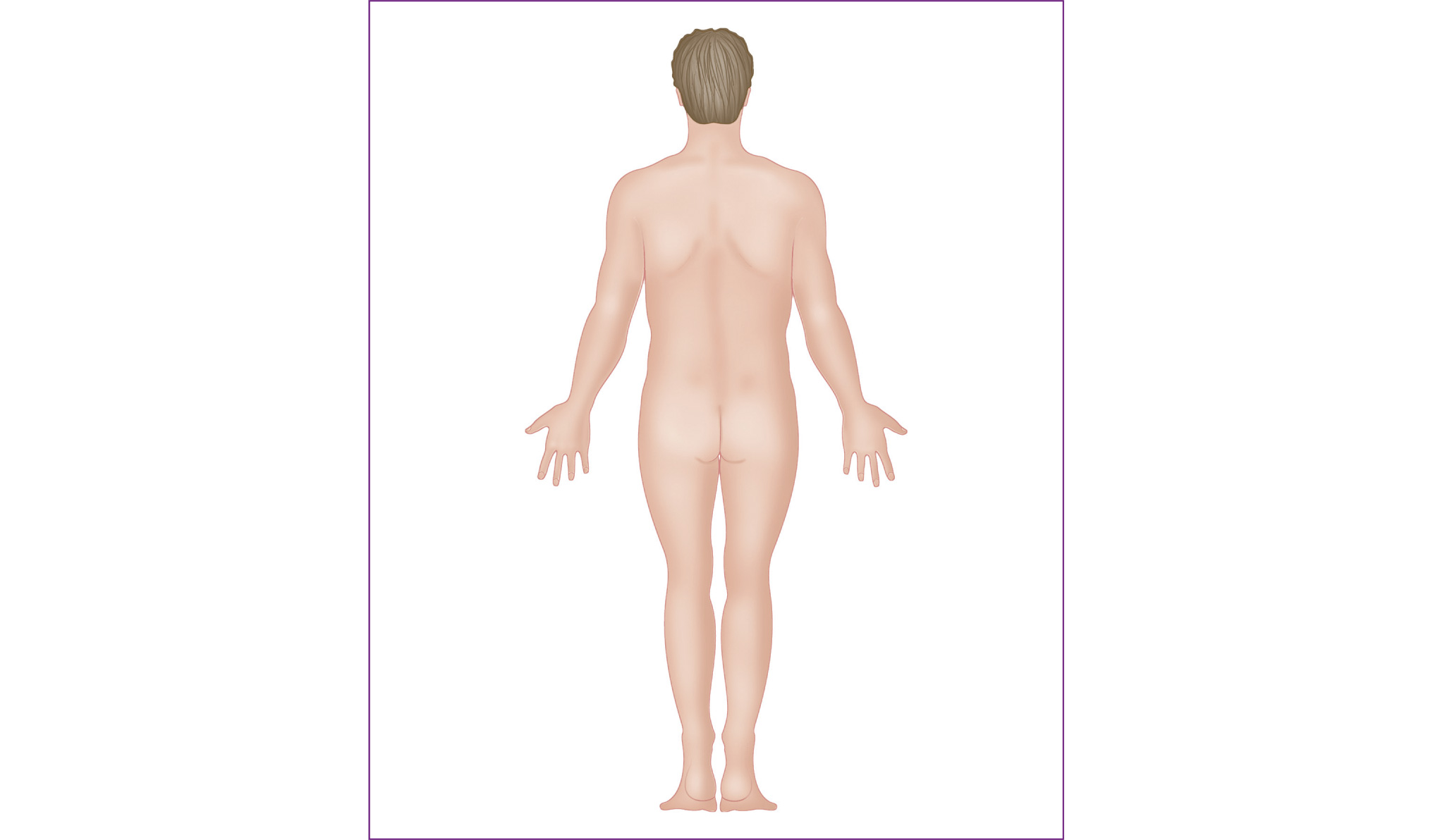 Figure 12 Posterior Behind toward or at the back of the body Figure - photo 6