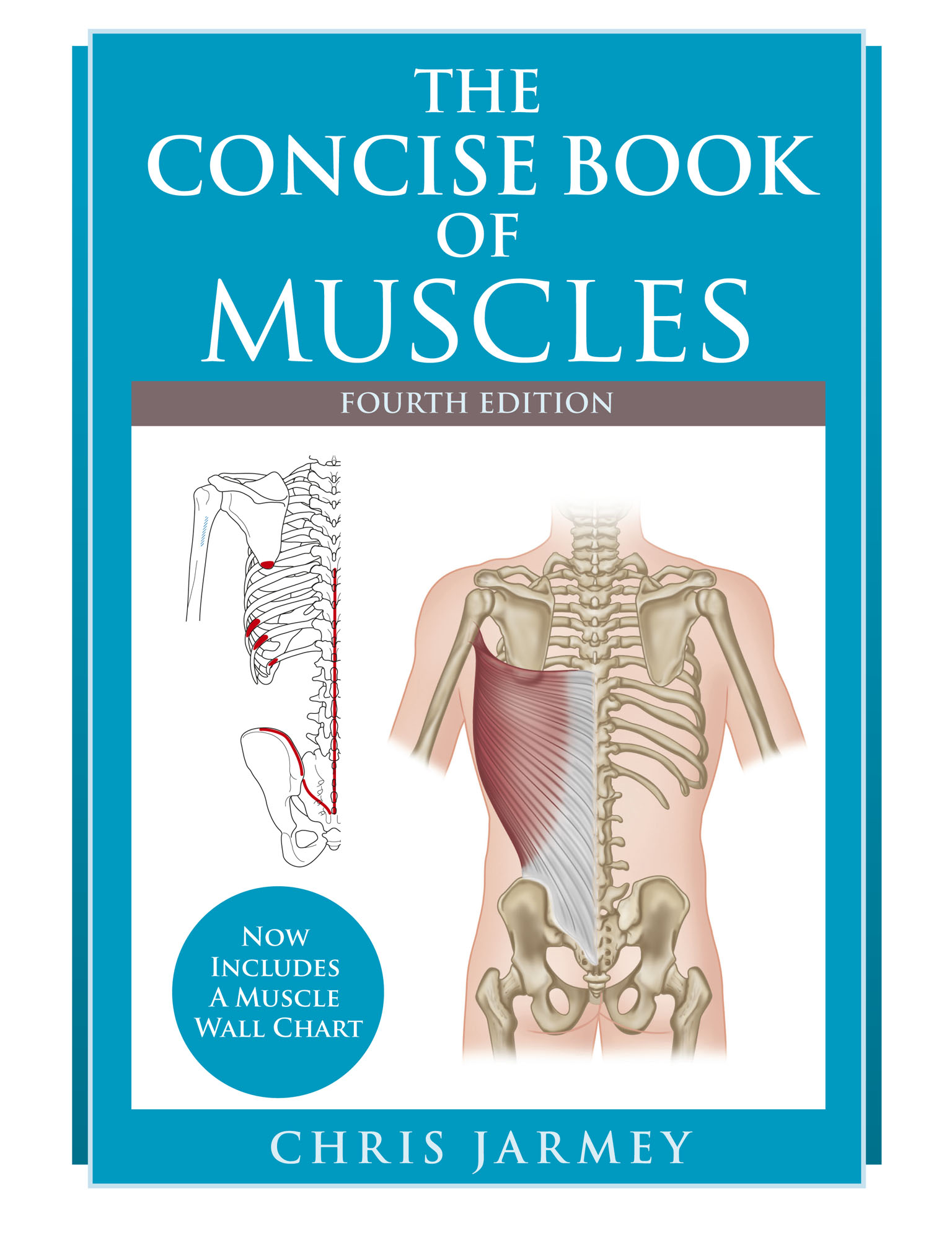 The Concise Book of Muscles Fourth Edition Chris Jarmey Copyright 2003 - photo 1