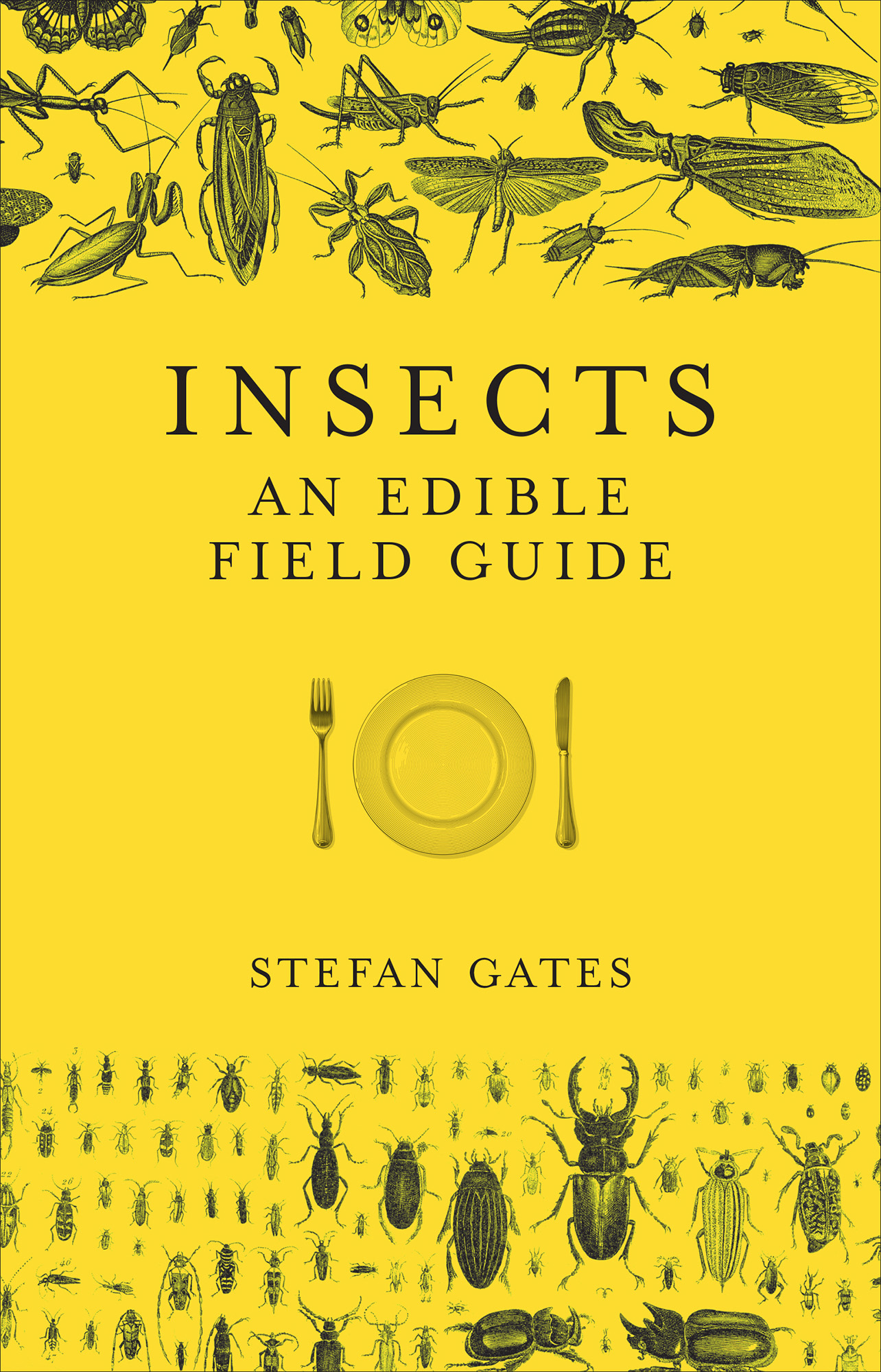 Insects An Edible Field Guide - image 1