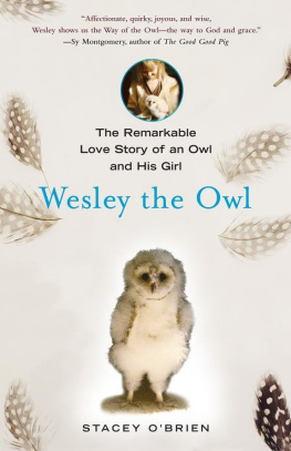 Stacey O’Brien Wesley the Owl: The Remarkable Love Story of an Owl and His Girl