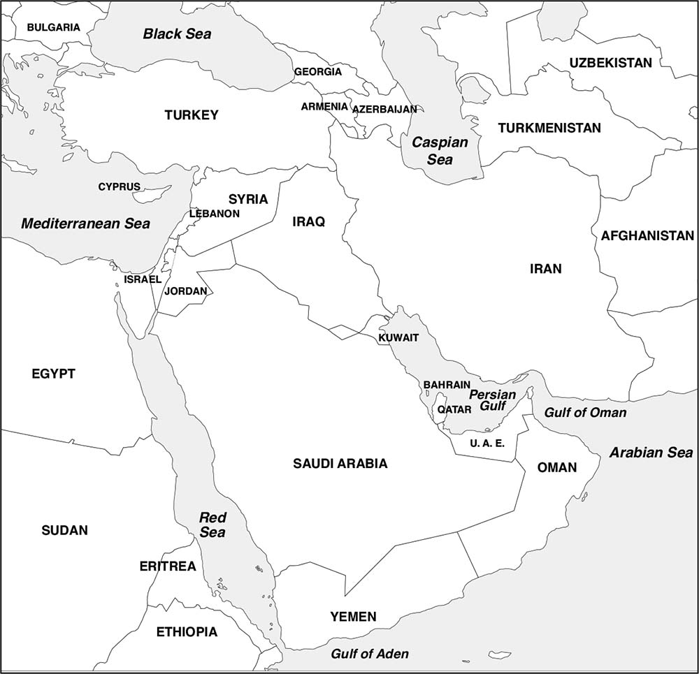 Introduction The Gulf Arab monarchies and Saudi Arabia in particular are - photo 2