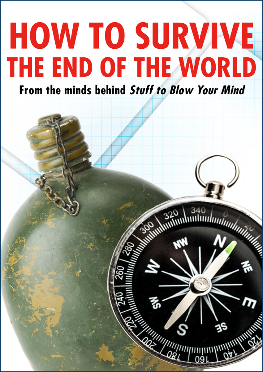 HOW TO SURVIVE THE END OF THE WORLD INTRODUCTION If the world as we knew it - photo 1