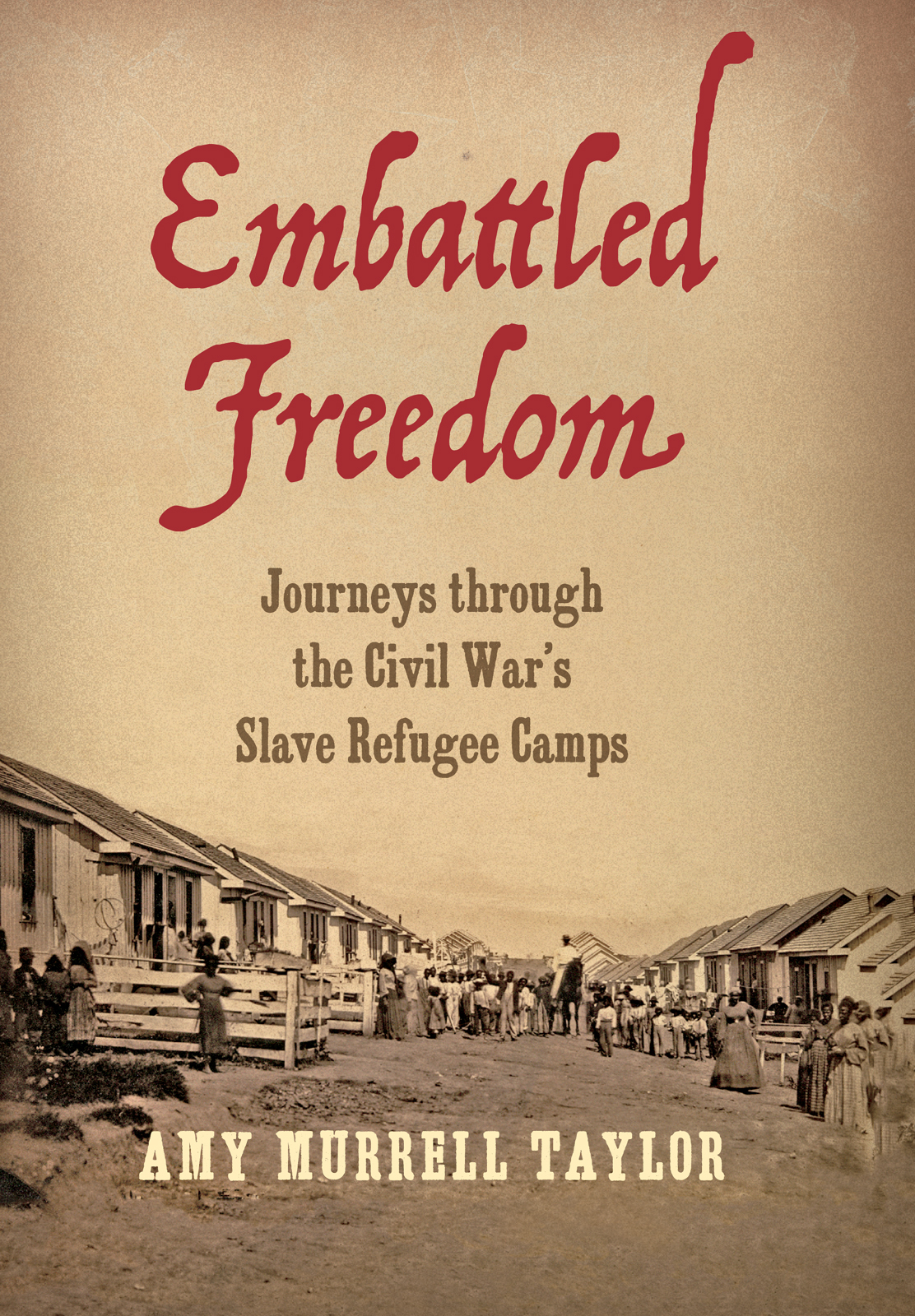 Embattled Freedom Journeys Through the Civil Wars Slave Refugee Camps - image 1