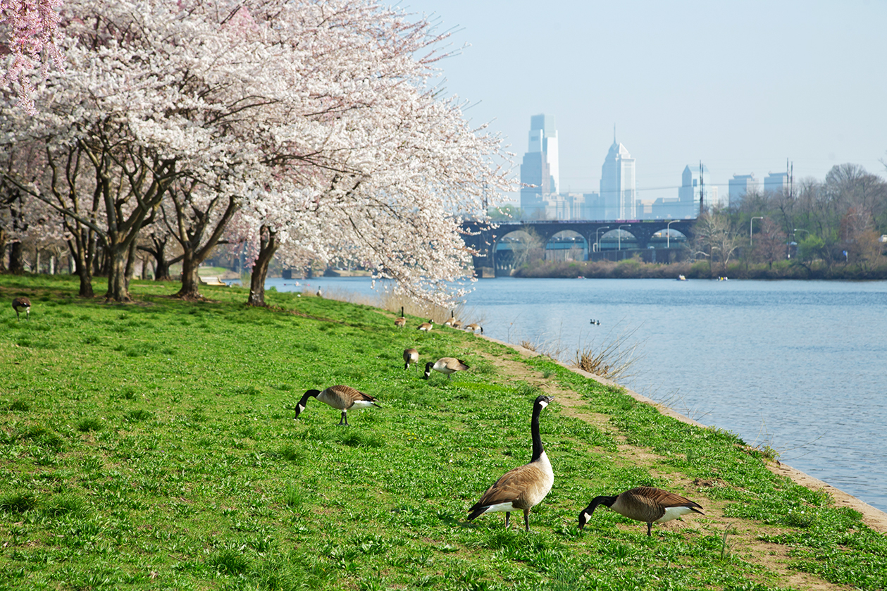 DERVIN WITMERSHUTTERSTOCK Philadelphia Top Sights The birthplace of the - photo 8