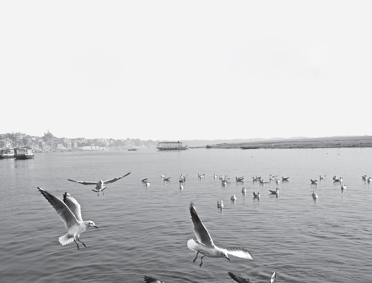 SUDIPTA SEN GANGES The Many Pasts of an Indian River Yale UNIVERSITY PRESS NEW - photo 1