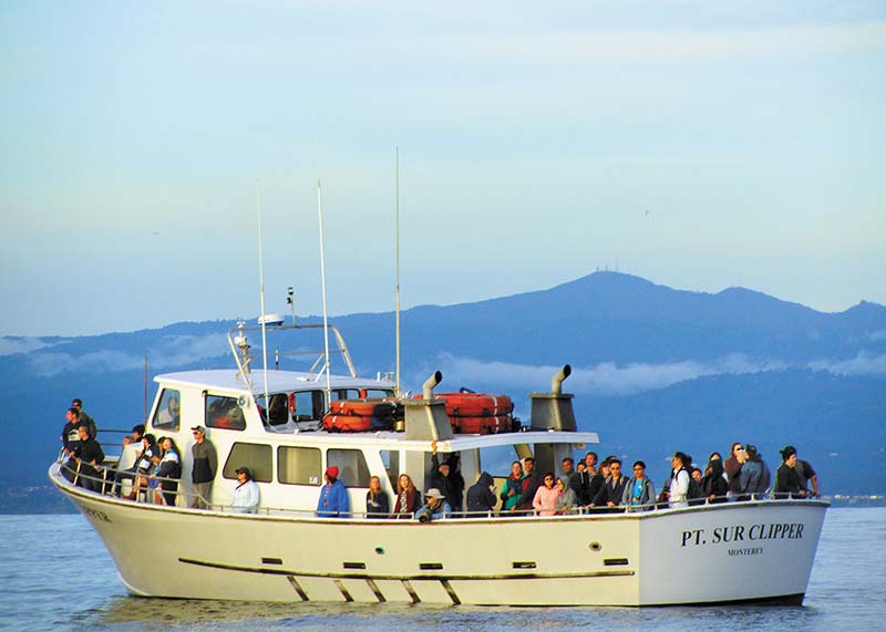 Whale-Watching Spy humpbacks blue whales and gray whales as they migrate - photo 12