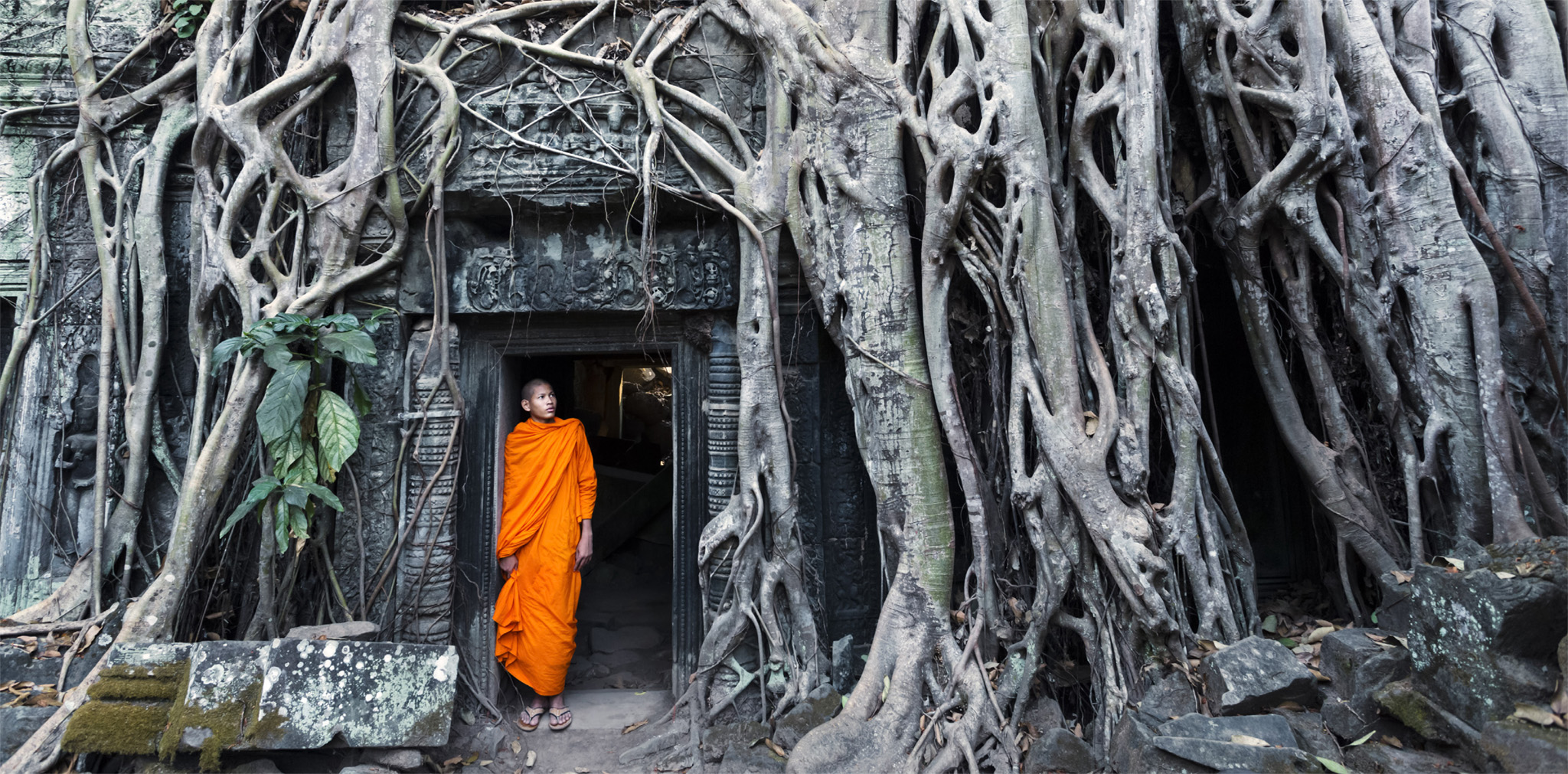 From the jungle-strangled ruins of Ta Prohm to the majestic towers of this - photo 10