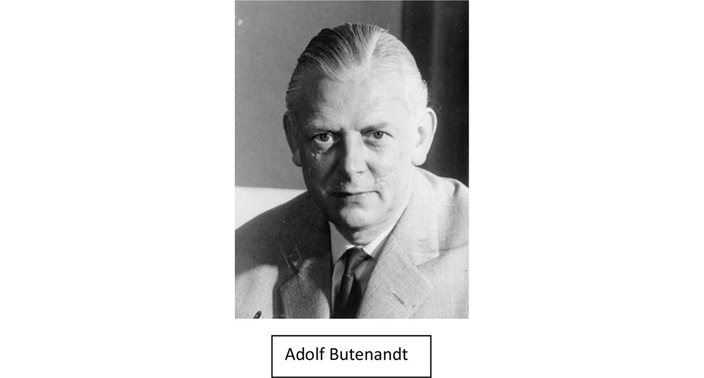 In 1931 Butenandt discovered the hormone Androstenone which was synthesized - photo 9