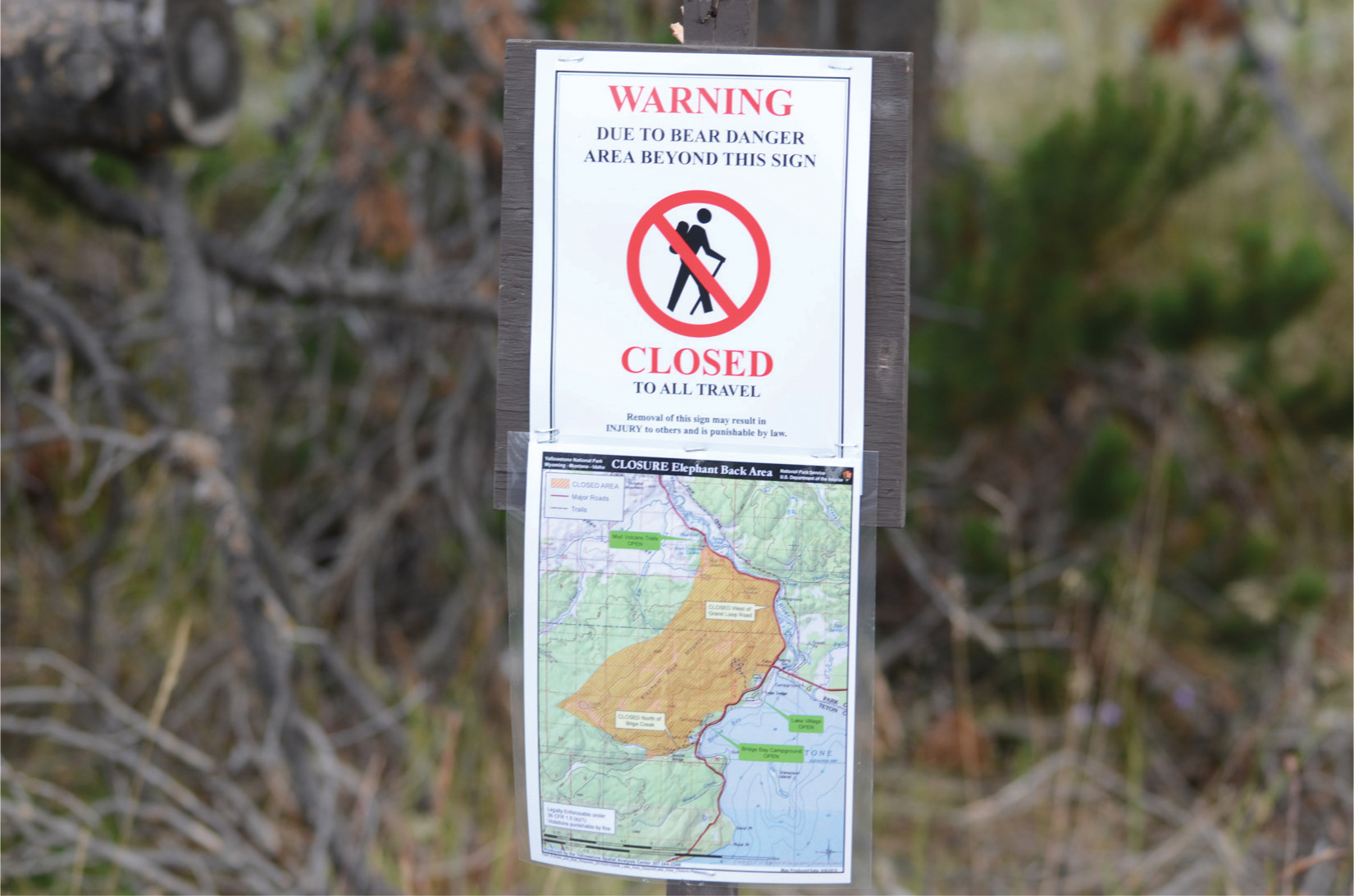 Yellowstone National Park officials closed the Elephant Back Trail in 2015 - photo 8