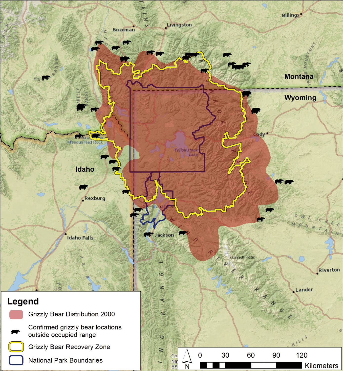 Grizzly bear distribution and confirmed locations outside occupied range in the - photo 6