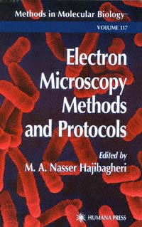 title Electron Microscopy Methods and Protocols Methods in Molecular - photo 1