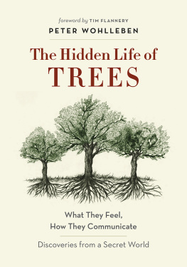 Peter Wohlleben - The Hidden Life of Trees: What They Feel, How They Communicate