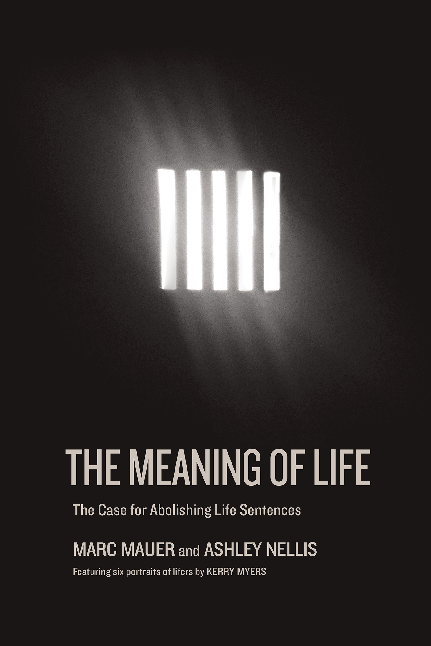 The Meaning of Life ALSO BY MARC MAUER Race to Incarcerate Race to - photo 1