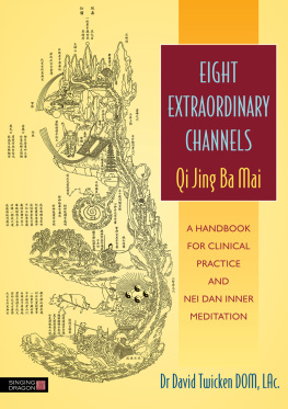 David Twicken - Eight Extraordinary Channels - Qi Jing Ba Mai: A Handbook for Clinical Practice and Nei Dan Inner Meditation