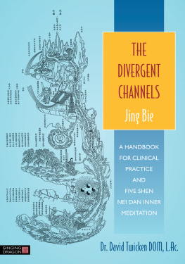David Twicken - The Divergent Channels - Jing Bie: A Handbook for Clinical Practice and Five Shen Nei Dan Inner Meditation