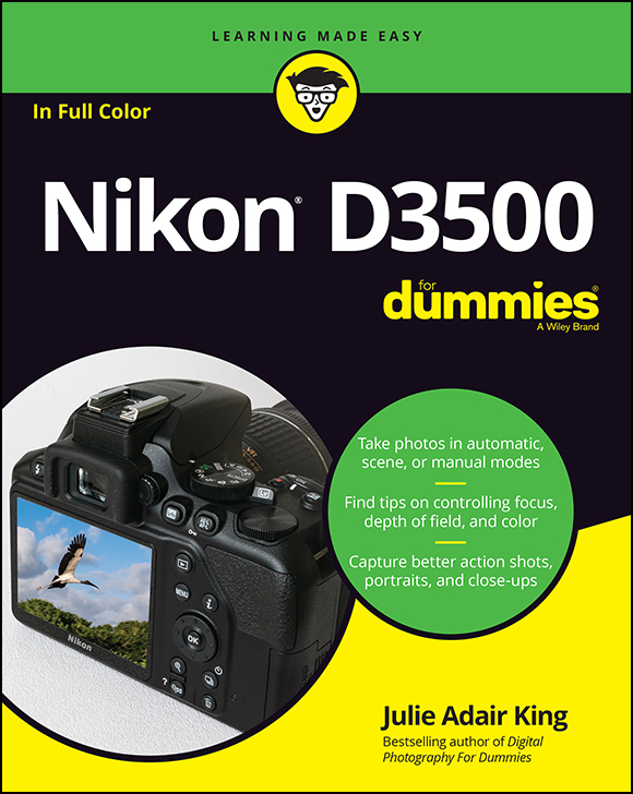 Nikon D3500 For Dummies Published by John Wiley Sons Inc 111 River - photo 1