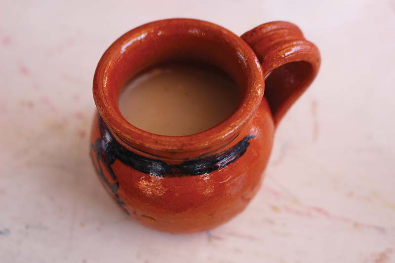 Pulque This fizzy fermented beverage is made from the sap of the maguey - photo 18