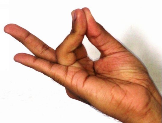 Method This Mudra is to be performed in a sitting position Be seated - photo 3