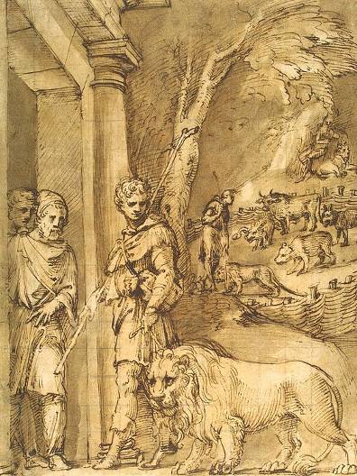 Androcles and the Lion a pen and wash drawing by Baldassare Peruzzi c 1530 - photo 8