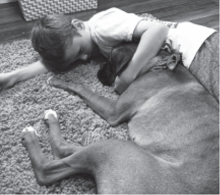 Top Jayde and I napping with my fur babies Bonnie and Clyde Bottom Bentley - photo 4