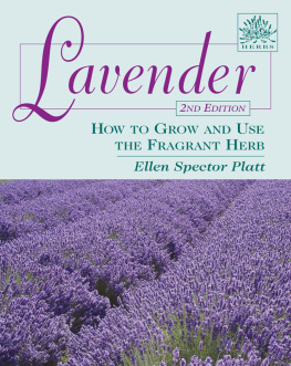 Ellen Spector Platt - Lavender: How to Grow and Use the Fragrant Herb