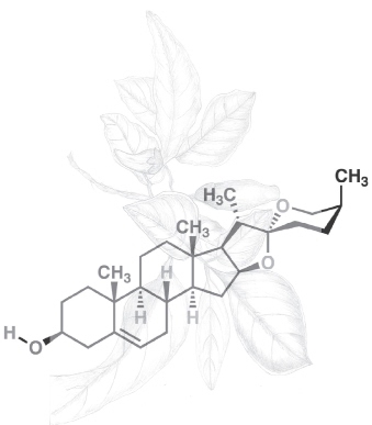 Diosgenin Precursor of Sex Hormones Source Dioscorea Solanum Species R - photo 5