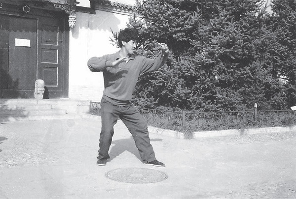 Master Cui Fushan demonstrating a variant of the Hun Yuan Zhuang exercise 8 - photo 3