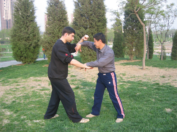 Master Cui Fushan and Ioannis Solos Master Cui Fushan demonstrating Yi - photo 4