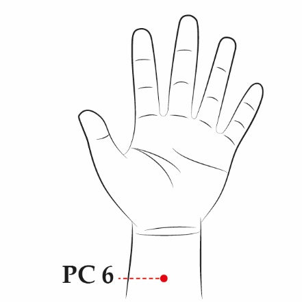 Pericardium 6 Located 2 cun above the wrist crease betweenthe tendons in the - photo 3