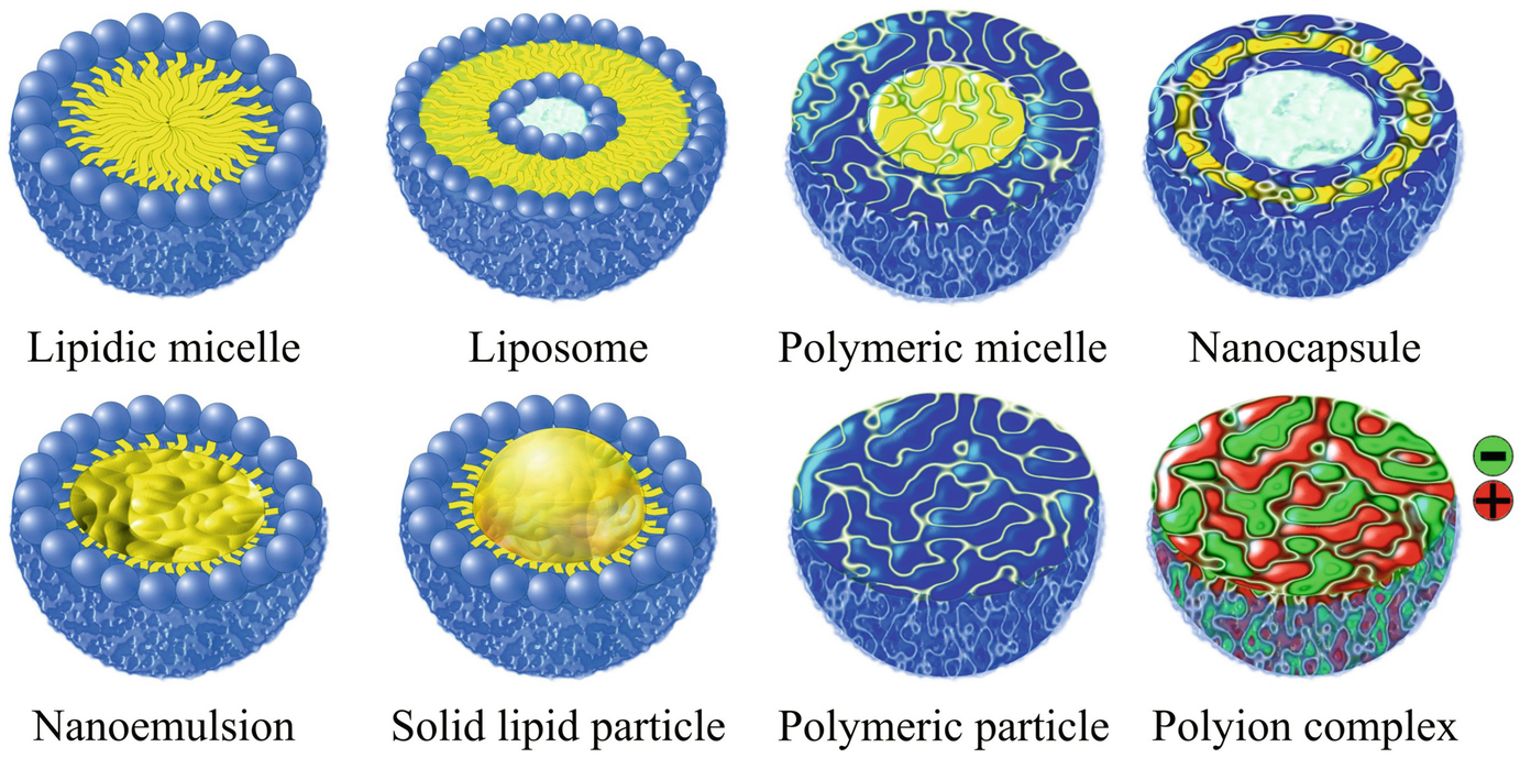 Fig 1 Nanocarriers for innovative drug delivery Blue areas are hydrophilic - photo 3