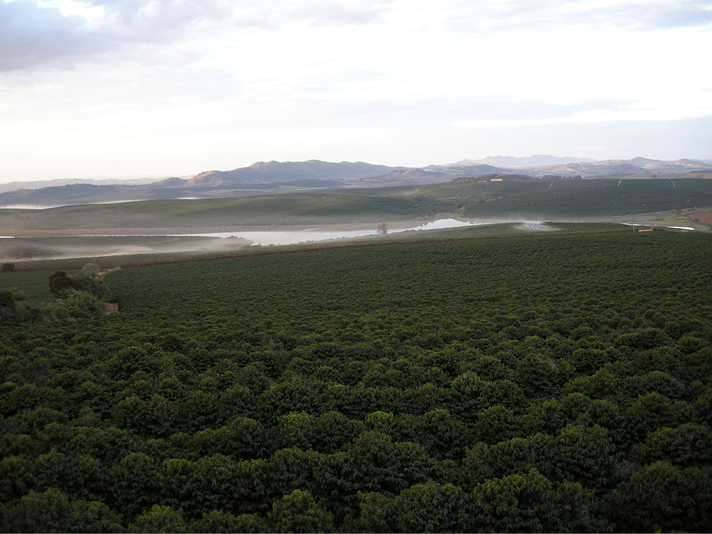 Coffee terrain varies greatly The top picture is relatively flat land on the - photo 4