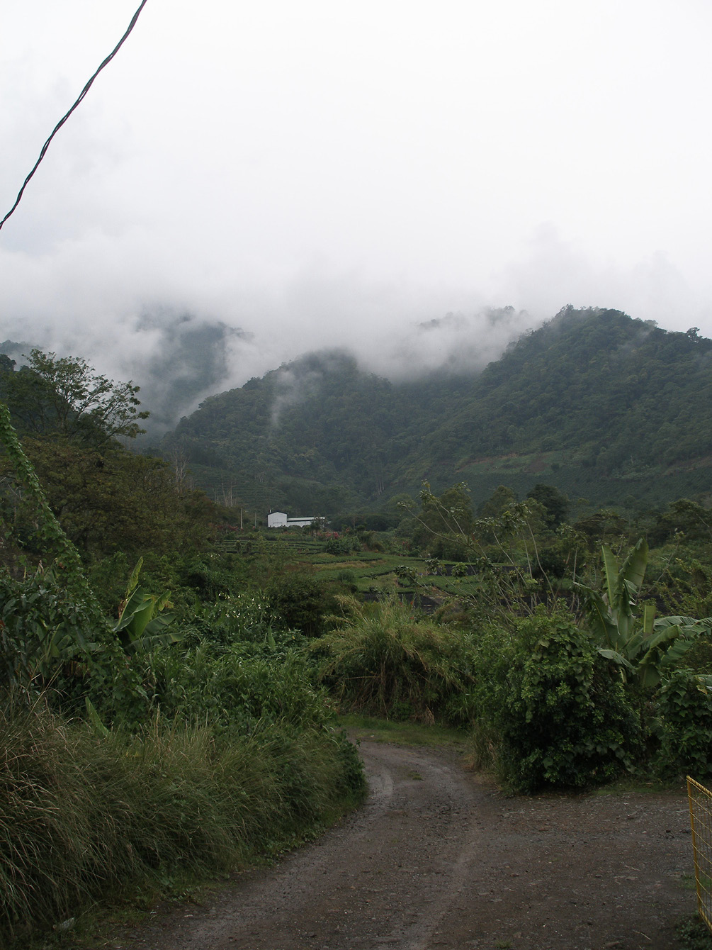 Coffee terrain varies greatly The top picture is relatively flat land on the - photo 5