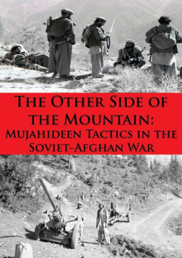 Ali Ahmad Jalali - The Other Side of the Mountain: Mujahideen Tactics in the Soviet-Afghan War