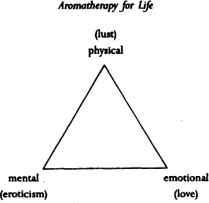 Figure 1 Triangle of love Holistic sex is the mix of all three types of - photo 4