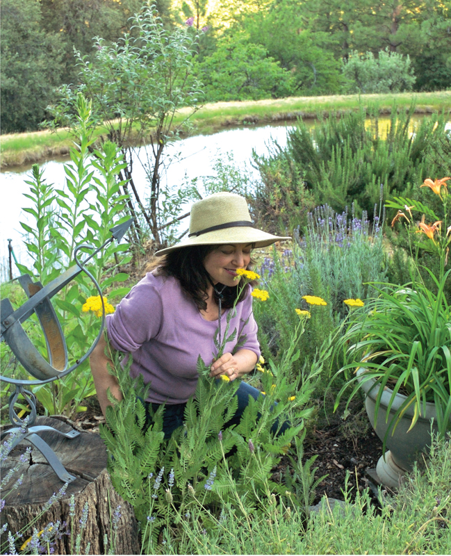 The author enjoying a noseful of yarrow Lavender and rosemary are nearby I - photo 4